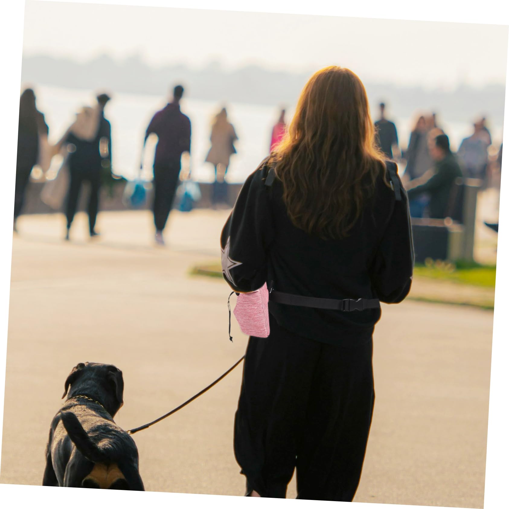 INOOMP 5piezas Bolsa De Entrenamiento para Perros Capacidad De Snacks Bolsa y Portátil para Paseos y Adiestramiento De Mascotas Accesorios para Dueños De Mascotas