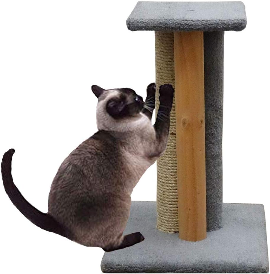 CozyCatFurniture 24 inches USA Made Wooden Cat Scratcher with Perch, Sisal Scratching Post, Bare Wood Pole, Gray Carpet