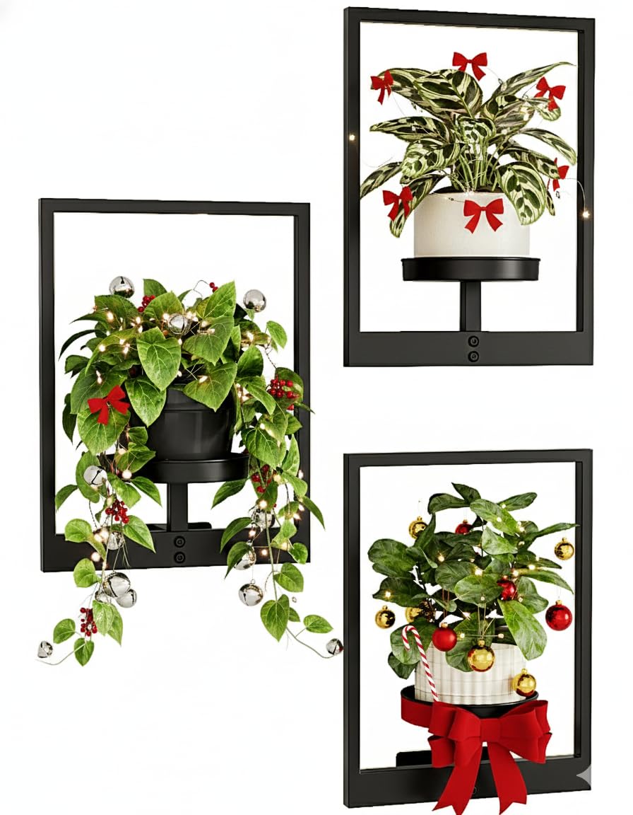 Bamworld Wall-Mounted Planters