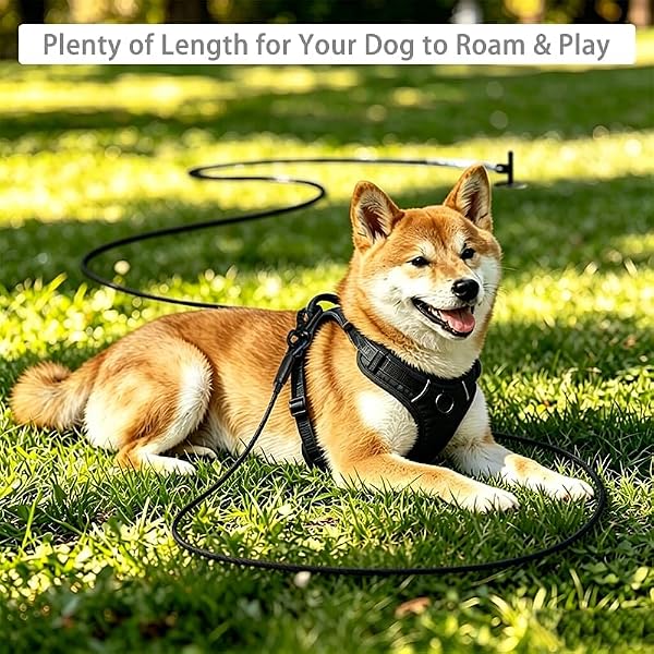 Mi PupJoy Dog Tie Out Cable - Chew Proof Steel Wire Lead - 360° Tangle Free Outdoor Leash for Pups - Dog Runner Cable for Small to Medium Dogs (Black, 45lbs/10ft) by Mi PupJoy - Used condition - Image 8