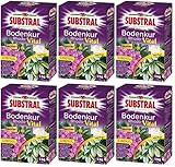 rhodochrosit  6 x 1 kg Substral Rhodo-Vital Bodenkur, NPK-Dünger 5-4-7,5