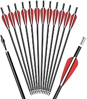 TY Archery 14 Inch Fiberglass Crossbow Bolts - 12 Pack Hunting Arrows with 100 Grain Points, Flat Nocks & Colored Vanes