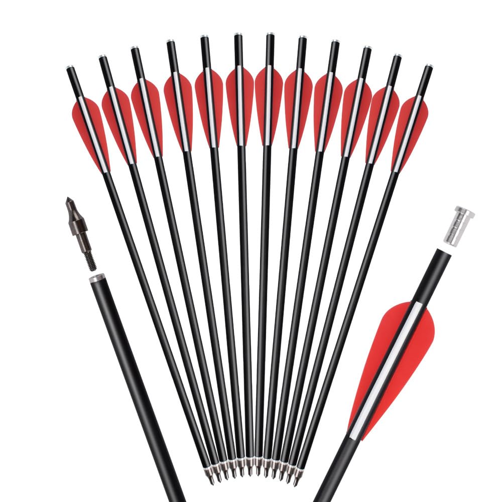 Crossbow Bolts Arrows Fiberglass 12 14 16 Inch Hunting Archery Target Arrow with Replaced 100 Grain Arrowheads Flat Nocks (Pack of 12)