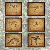 Dinosaur Prints - Wall Decor Art Prints - Dino Bones - Set of 6 - Bedroom, Playroom or Office