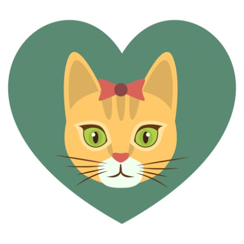 Talking Dancing Catty