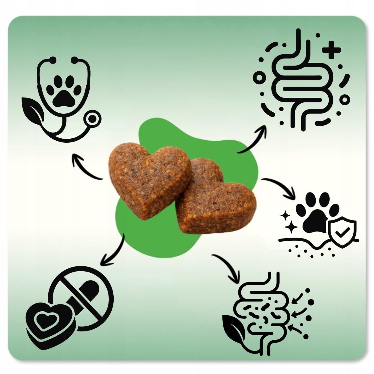 ProBio DOG FORTE 60 Soft Chews – Probiotico Anti-Prurito per Cani | Grattamento, Leccamento, Supporto Intestinale, Digestione, Immunità e Pelle Sana | Bacillus velezensis, MOS+FOS, L-Glutammina