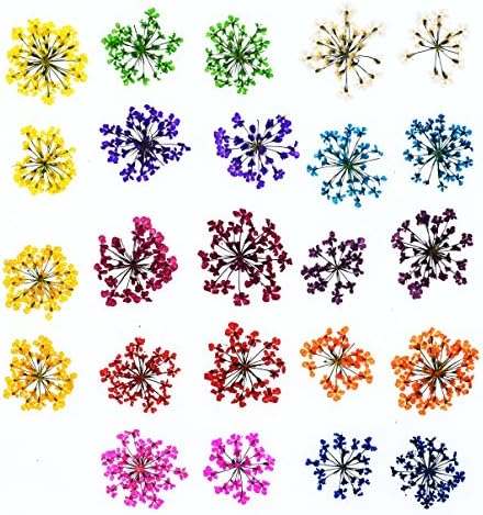 3X (72pieces) Lace Flower 2-2.5cm Natural Dried Flowers Pressed Herbarium Flower Nail Sticker Resin Filler (Mixed Color)