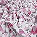 E.Z. Fabric Minky Jungle Dreams Fuchsia, Fabric by the Yard