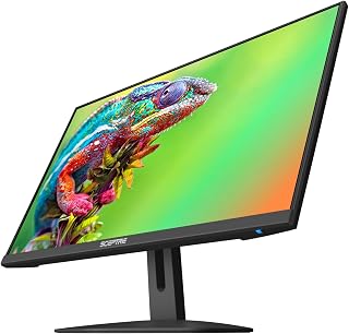 Sceptre 24-Inch Gaming Monitor 100Hz 1ms FreeSync Built-in Speakers Eye Care E248W-FW100T Black