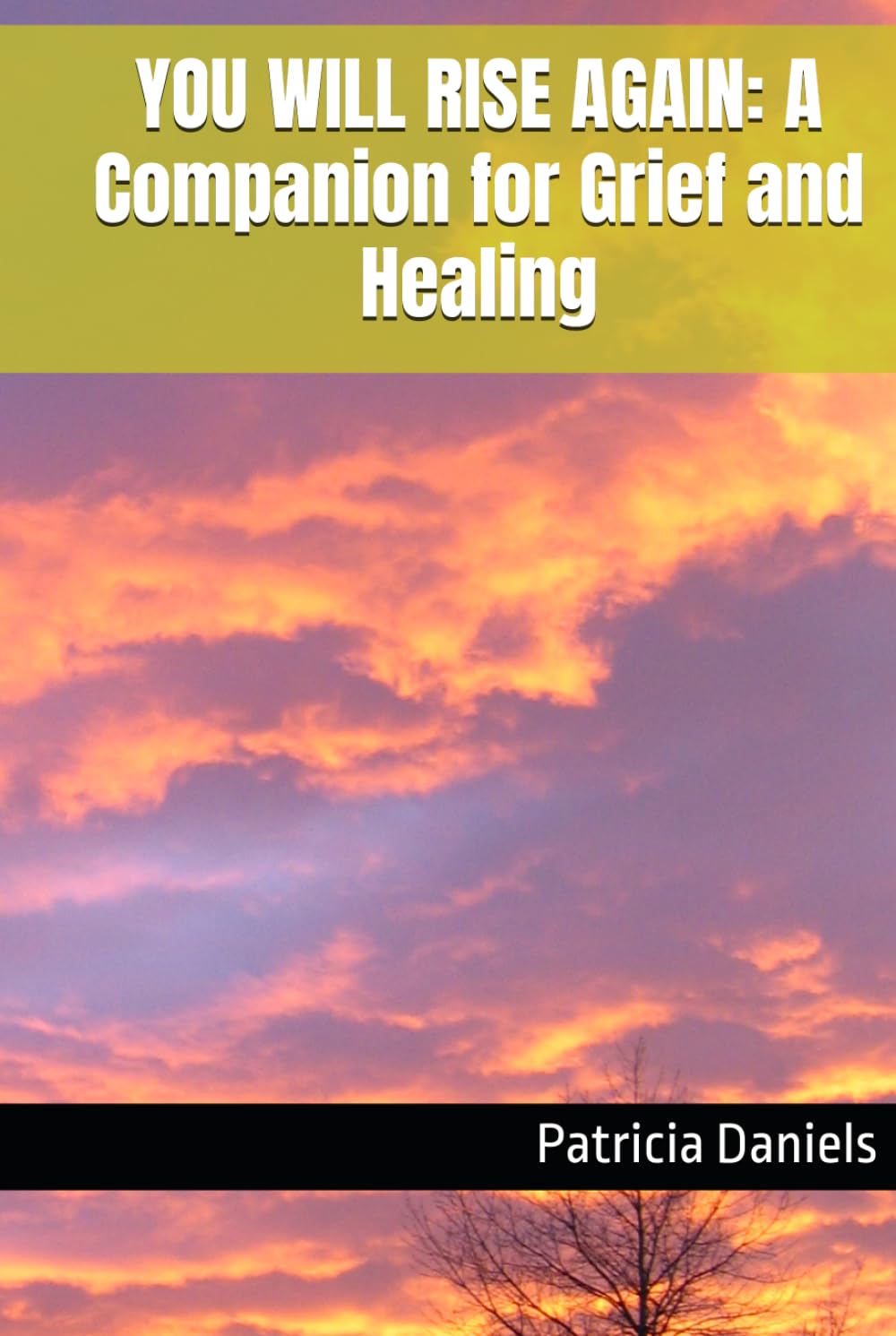 YOU WILL RISE AGAIN: A Companion for Grief and Healing