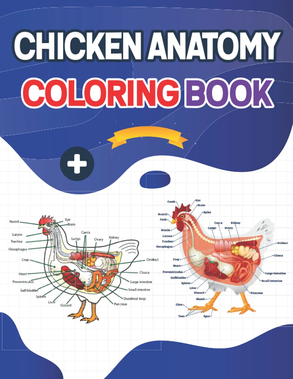 Chicken Anatomy Coloring Book: This Coloring Book is Very Helpful For Learning Chicken Anatomy. Unique & Fun Way to Learn Chicken Anatomy. A Great ... Very Helpful Book to Study Chicken Anatomy.