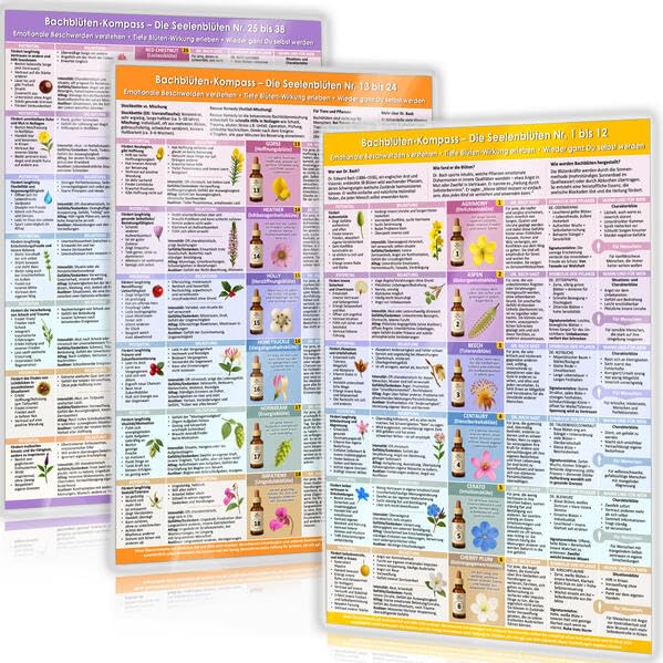 [3er Set] Das große Bachblüten-Komplett-Set (2025) ― Alle 38 Bachblüten im Überblick: Emotionale Beschwerden verstehen, lösen & Blütenwirkung erleben | Für Praxis & Alltag | DIN A4, laminiert