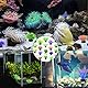 Aquarium Dekoration Pflanzen,LYQQY 20 Stück Künstliche Aquarienpflanzen Realistisch und Schön, langlebig Kunstpflanzen Aquariumdekor für Aquariendekoration, Aquarium, Fischteich,5cm, LY1045, kleine
