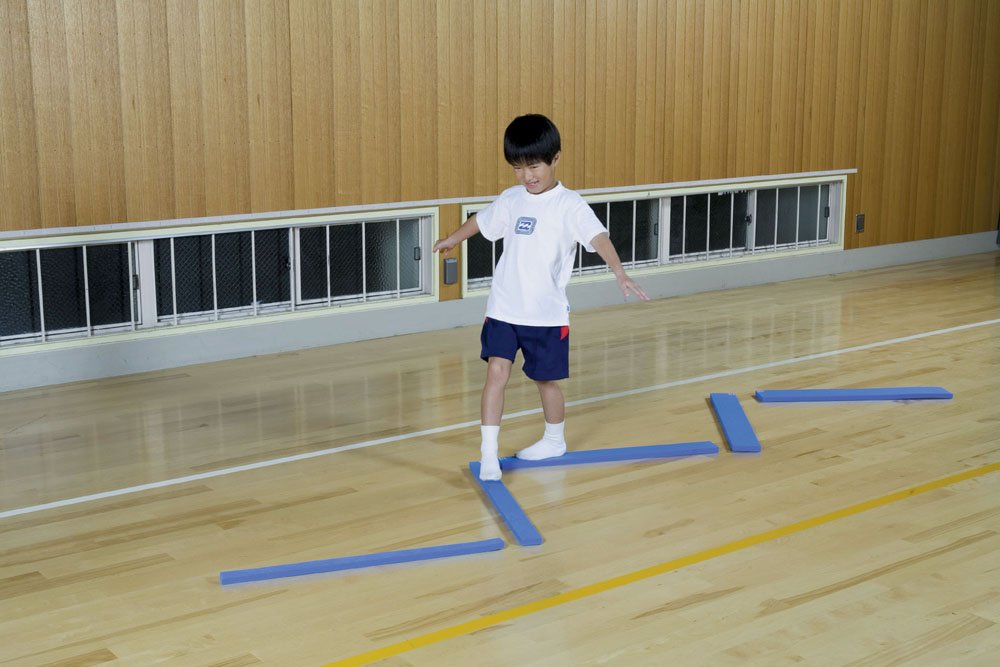 Amazon | ダンノ(DANNO) ソフトバランスバー 5本1組 D3634 | DANNO