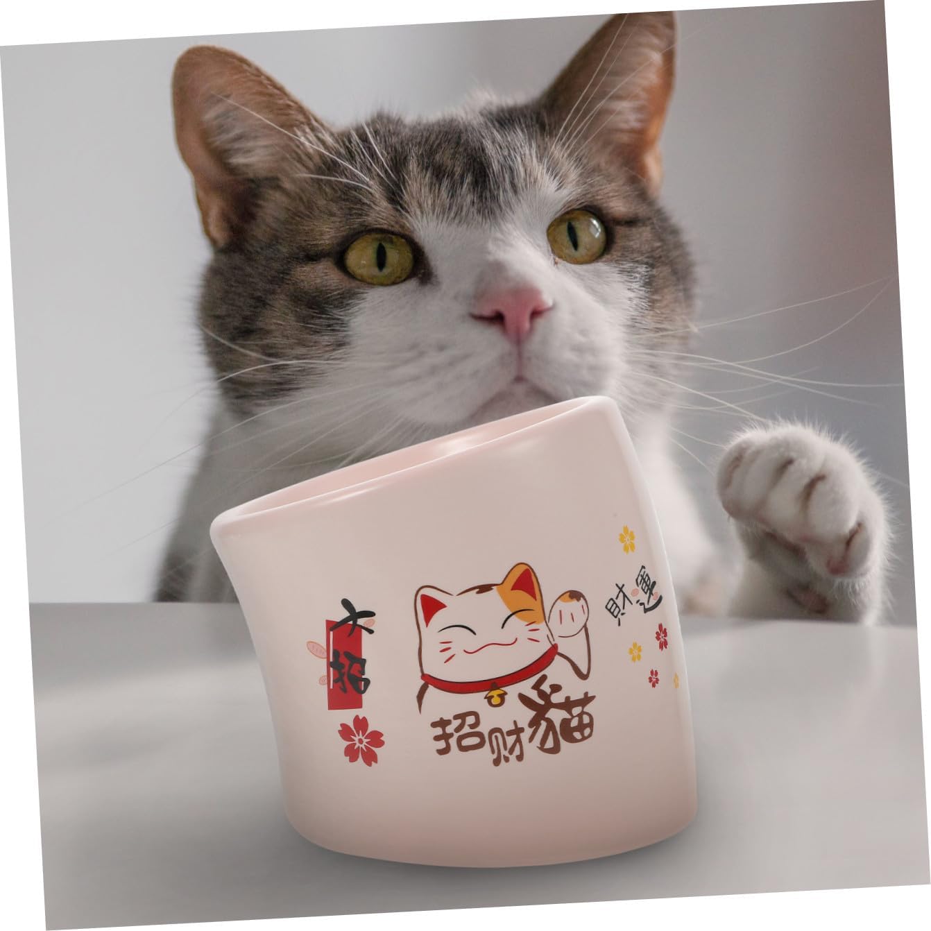 Elevated Ceramic Cat Bowl Anti-Spill Pink with Safety Neck Protector Kitten Feeding Dish for Indoor Pet Cats