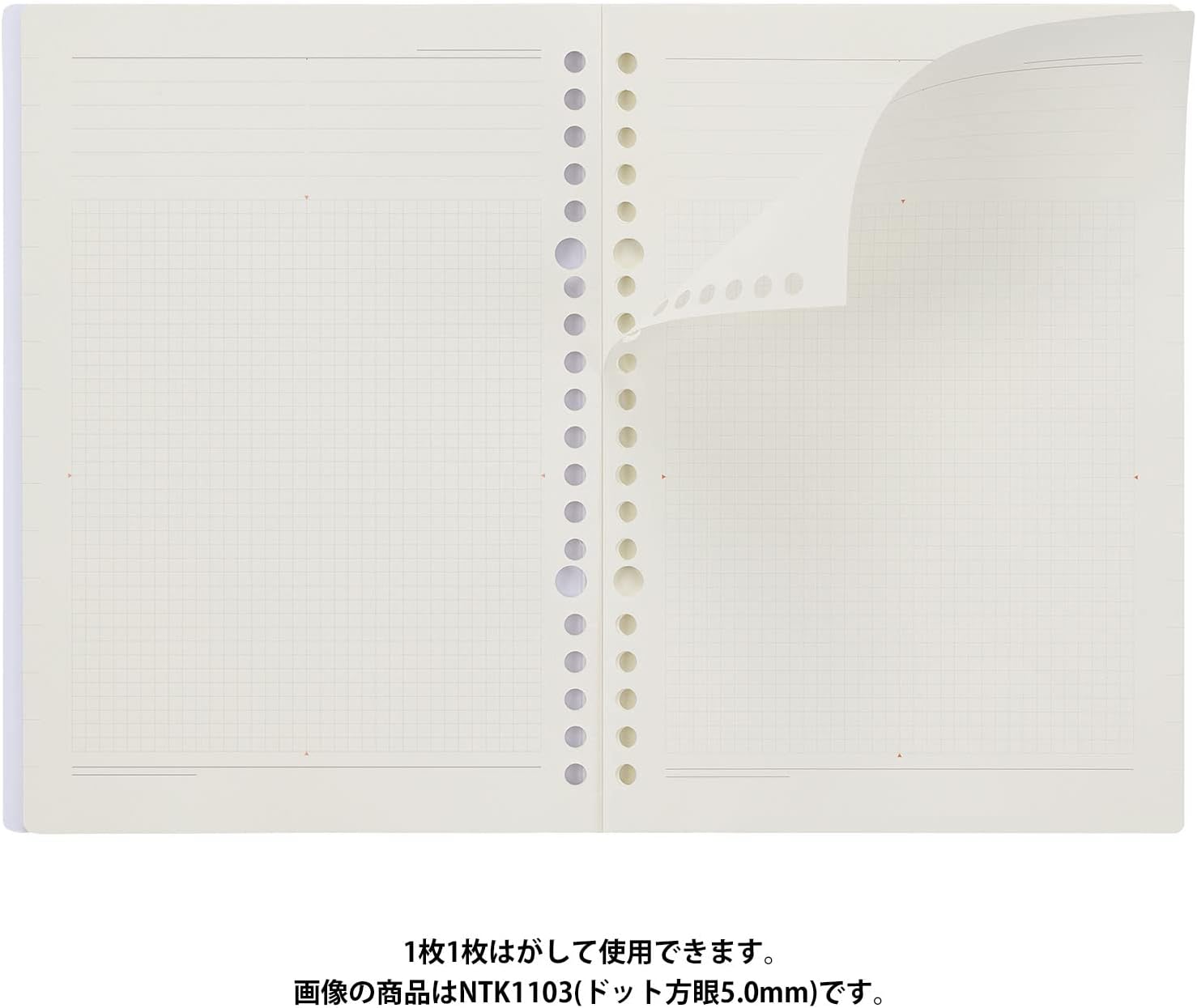 NOLTY NTK1103 Noritsu Notebook, Kukuru Kukuru A5, Dot Grid 0.2 inches (5.0 mm), Cover: Black, Paper: White