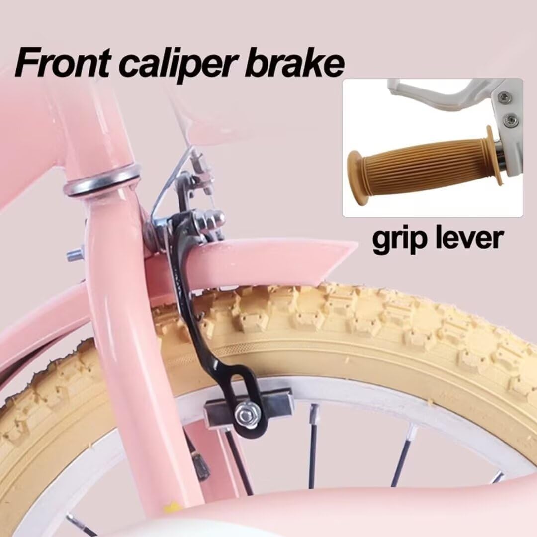 大幅掛軸 愛新覚羅毓瑛『松に雉 花鳥図』中国画 紙本 肉筆 合わせ箱付