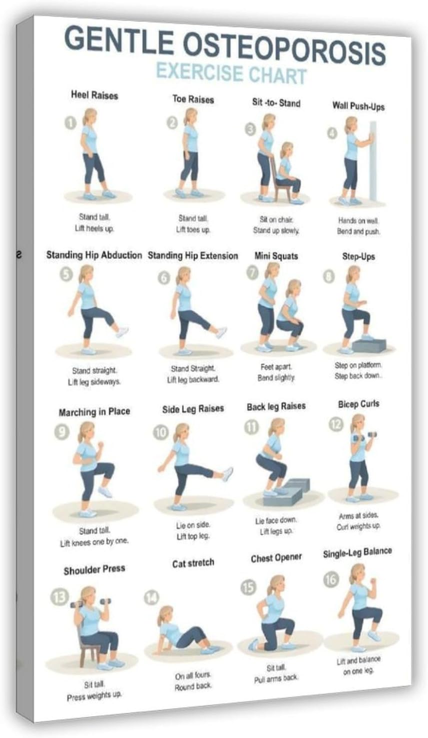Amazon.com: Osteoporosis Exercise Chart for Seniors Gentle Low Impact ...