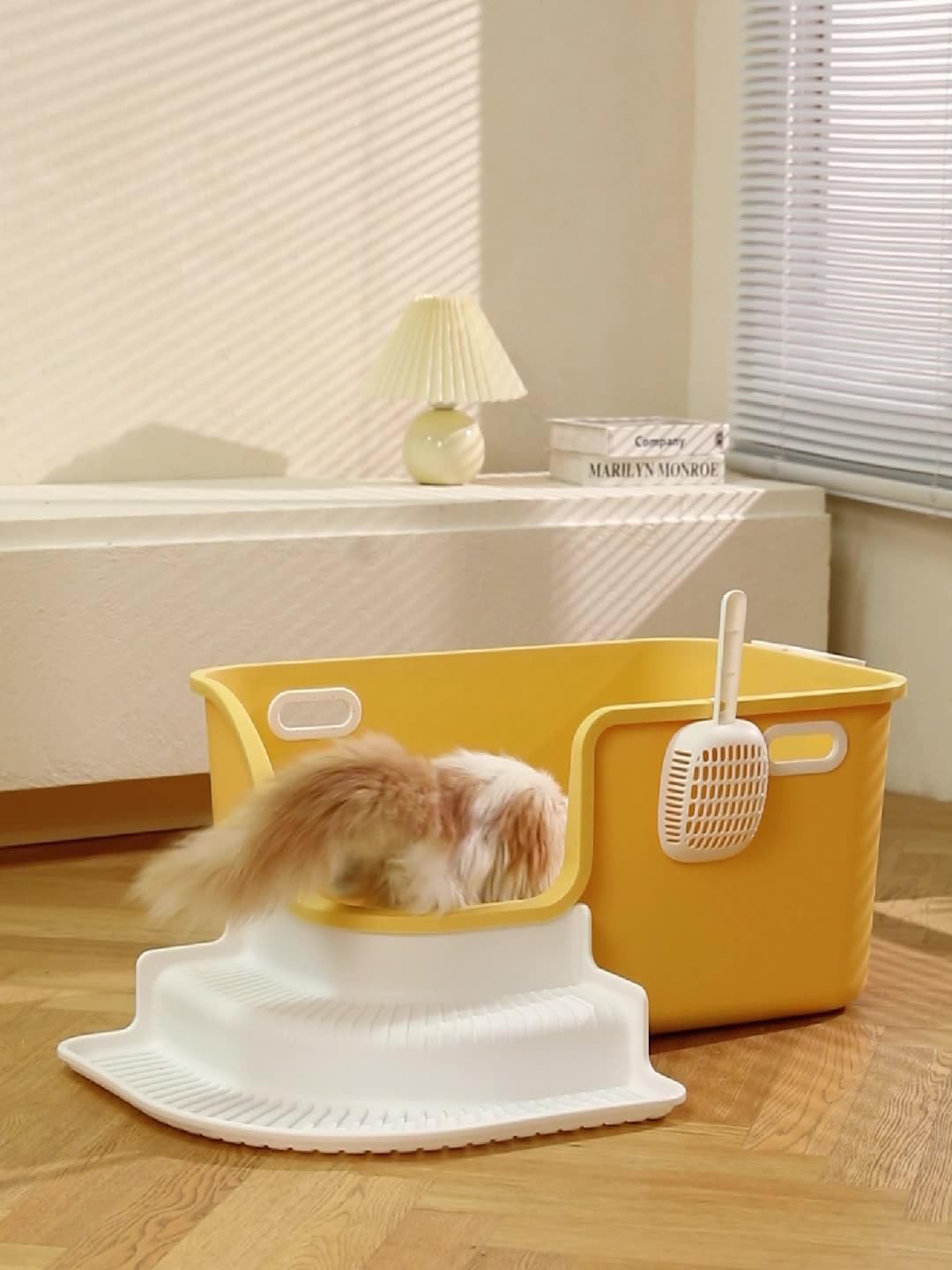 ツェラミカ猫大サイズ2体セット 公式オンラインストア オープン記念 ツェラミカ猫大サイズ2体セット 公式オンラインストア オープン記念