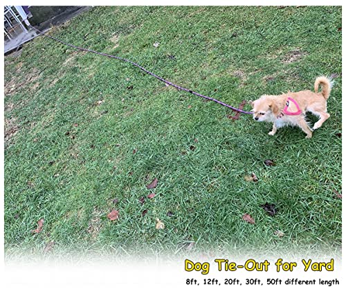 Btinesful 12Ft Dog Tie Out Rope + 5Ft No-Choking Slip Lead Service Dog Leash #TOP3
