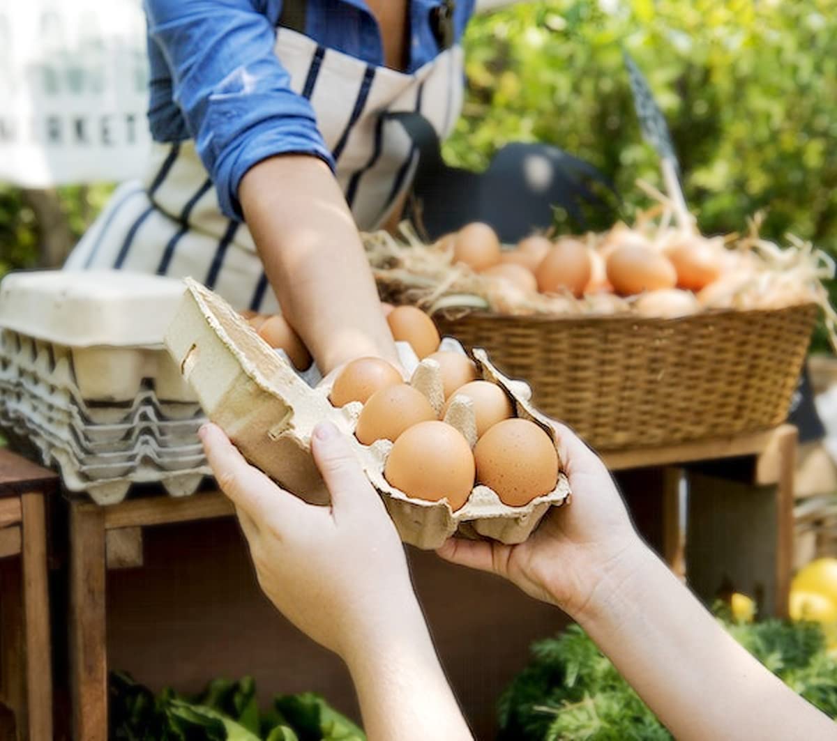 30 cajas de huevos, cajas de huevos de pulpa natural en blanco, 6 unidades para huevos de gallina, reutilizables, protegen, recipientes de almacenamiento de huevos para el hogar, cocina y