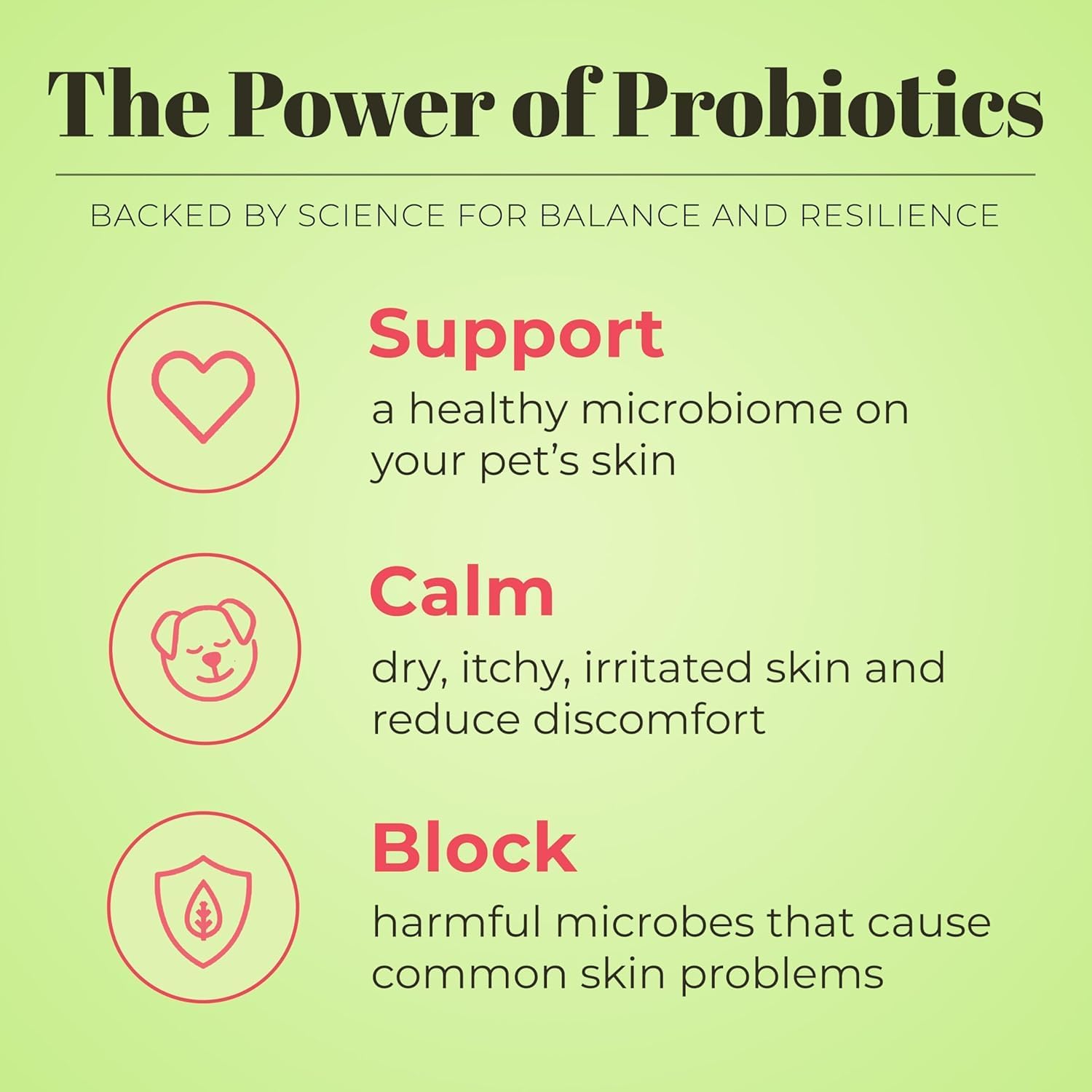 SKOUT'S HONOR Probiotic Grooming Essentials Bundle - Sunkissed Coconut