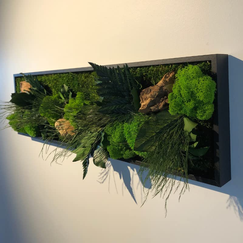 Tableau végétal Mural stabilisé 70cm Noir