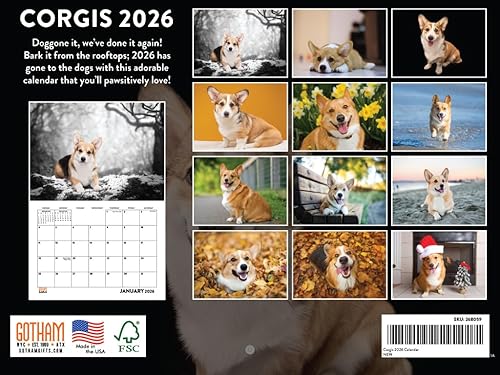 Vista 364 de Calendario Goldendoodle 2026 Golden Doodle mensual de pared calendario de 12 meses Fabricado en Estados Unidos