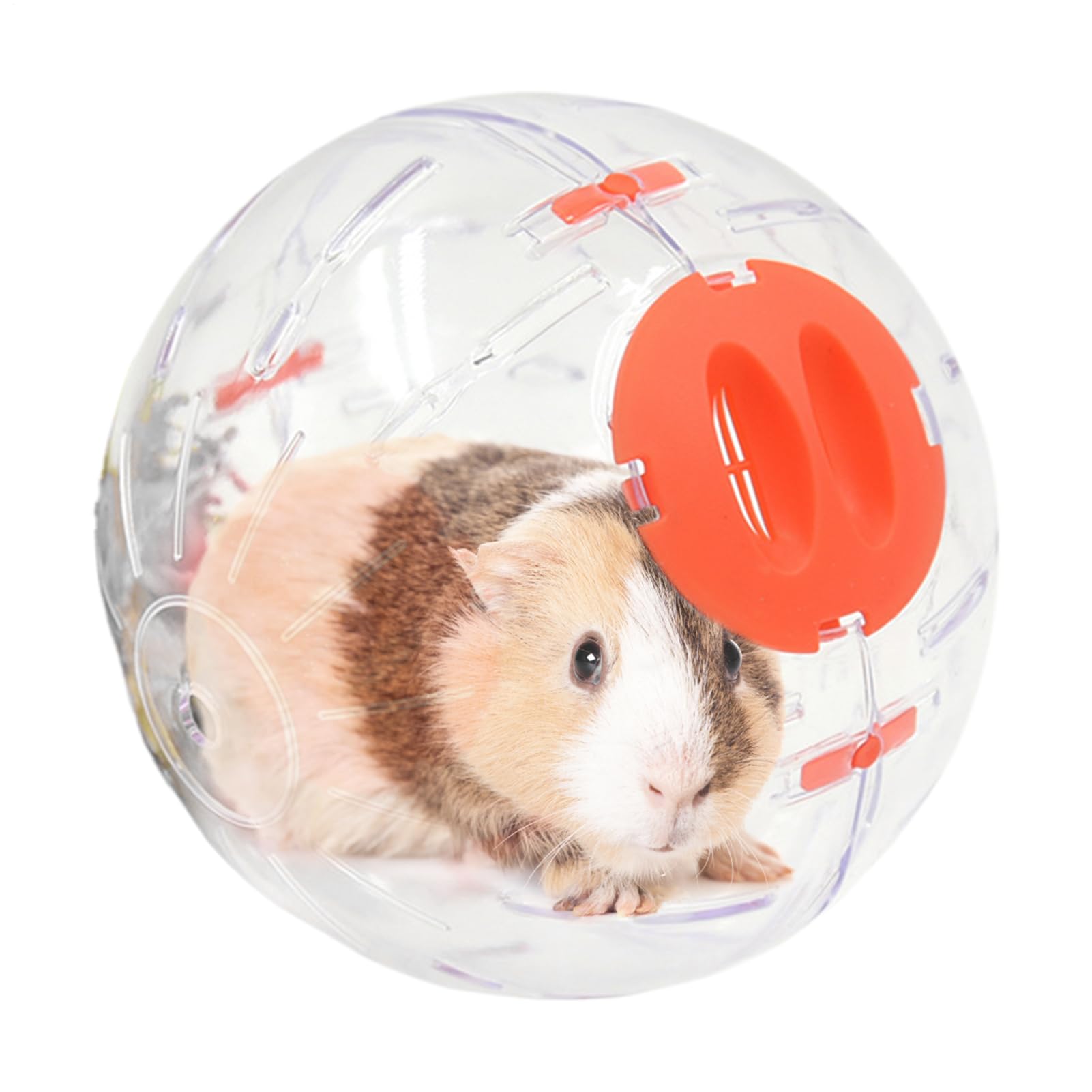 Hamster Balls - Transparent Silent Hamster Toys | Cute Small Pet Supplies With Ventilation Hole For Guinea Mice Chinchilla Gerbil Ferret Kids Family Friends
