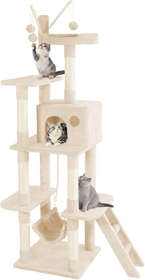 cat activity trees