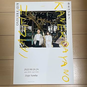 Amazon.co.jp: カネコアヤノ×KID FRESINO シルクポスター : おもちゃ