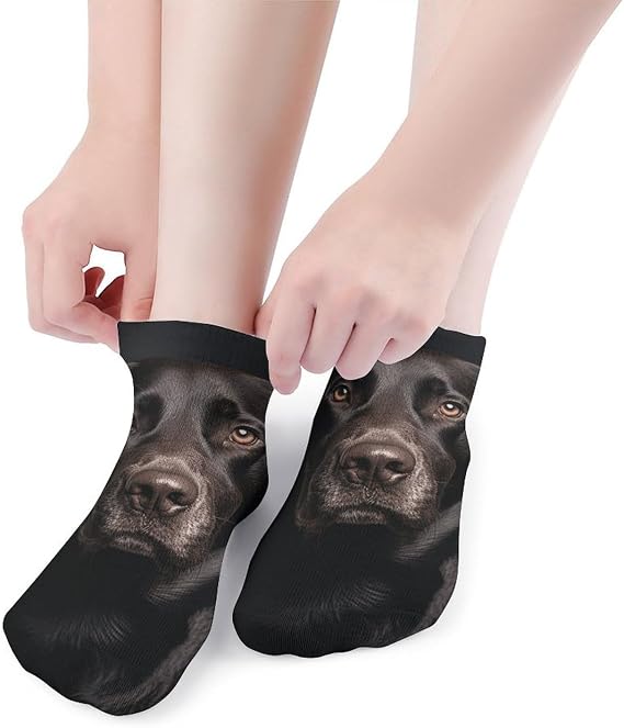 Black Lab Dog Low Cut Ankle Socks Athletic Socks For Women Performance Cushioned Comfort Sock For Men And Children