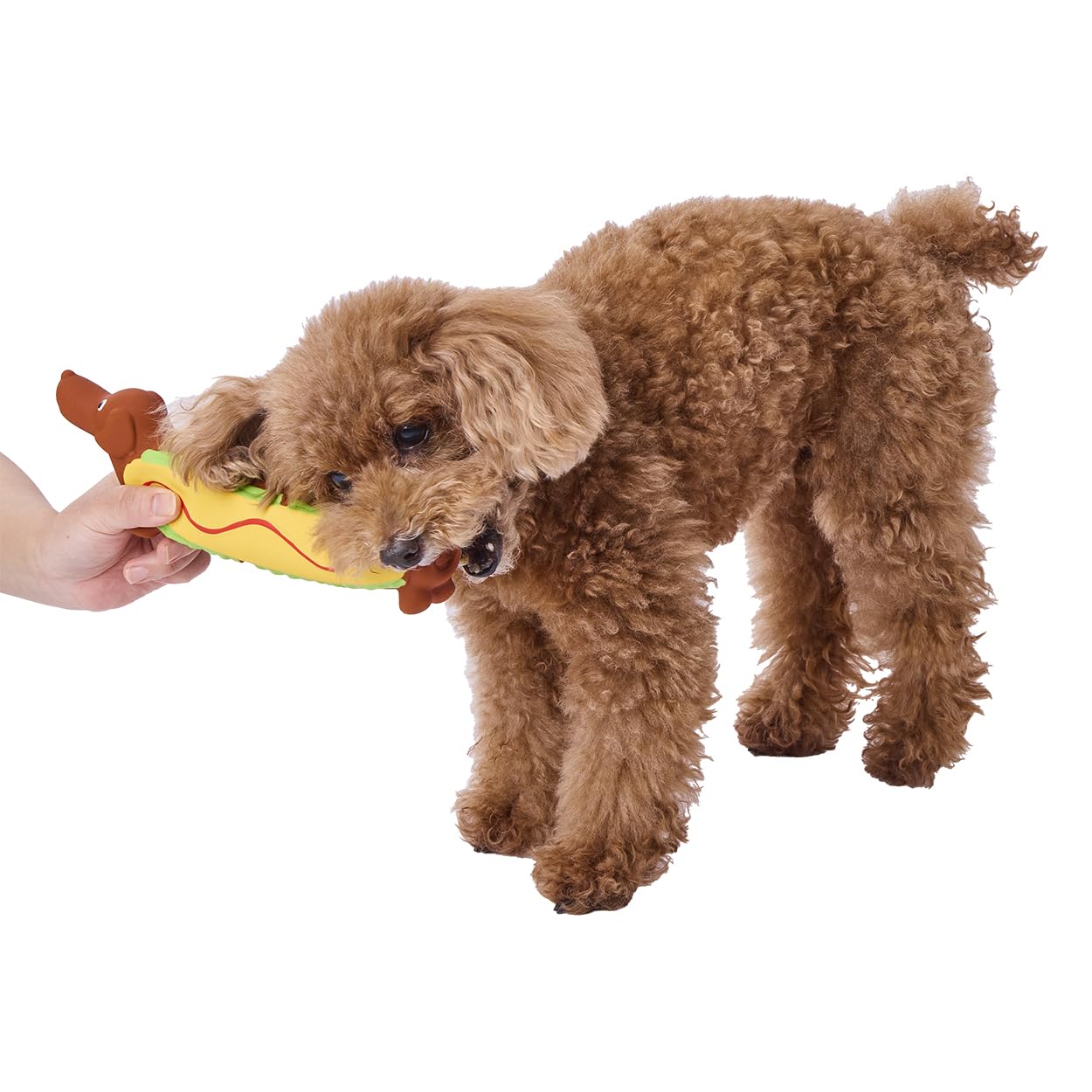 Amazon | ペティオ (Petio) 犬用おもちゃ ながーいラテックスTOY