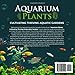 Aquarium Plants: Cultivating Thriving Aquatic Gardens