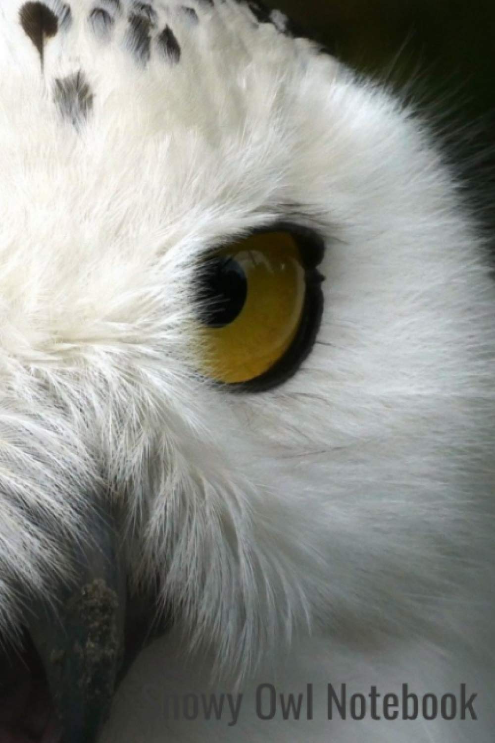 Snowy Owl Notebook
