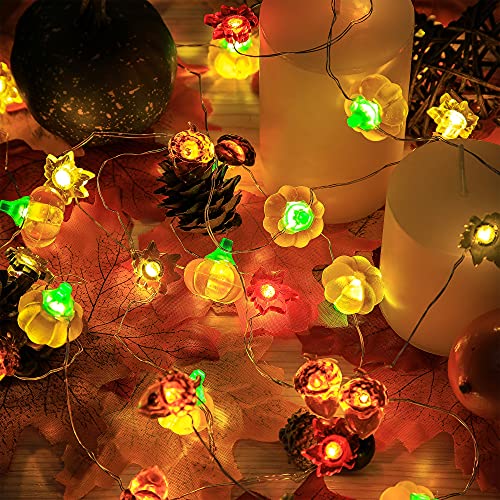 Thanksgiving Decorations, Pumpkin Maple Acorns String Lights 10 Ft Silver Wire 40 Led Usb And Battery Powered With Dimmable Remote Timer For Fall Decoration, Indoor Outdoor, Fireplace Xmas Decoration #TOP2