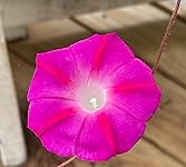 Review Image by Kim Smith Kim Smith