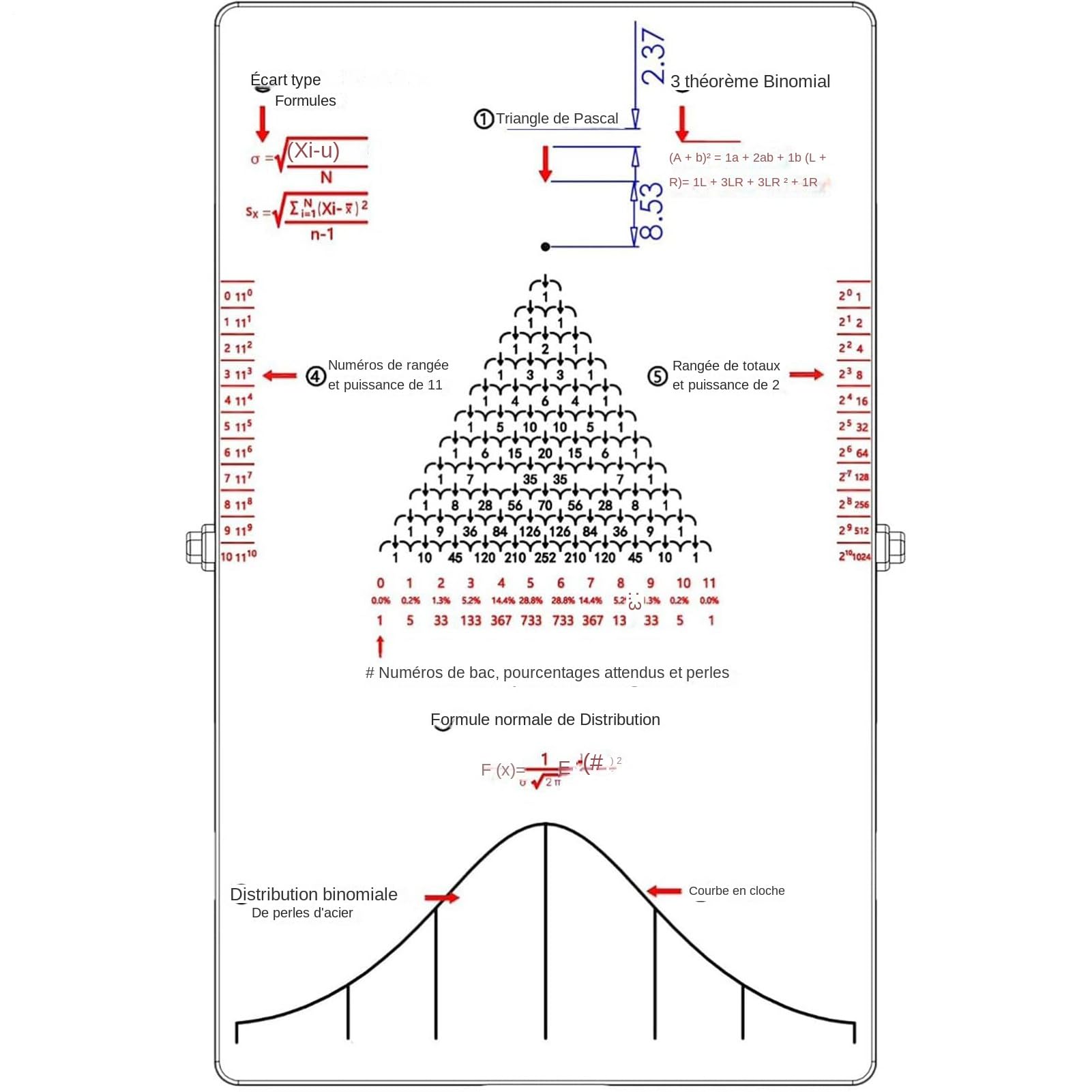 Giocattoli Di Fisica Per Bambini Portatile Educativo Scientifico Fisica | Di Distribuzione Statistica Per Insegnanti Matematica Educatori Scientifici Studenti Competizione