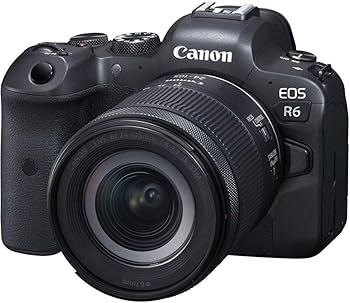 Amazon.com : Canon EOS R6 Mirrorless Digital Camera with 24-105mm