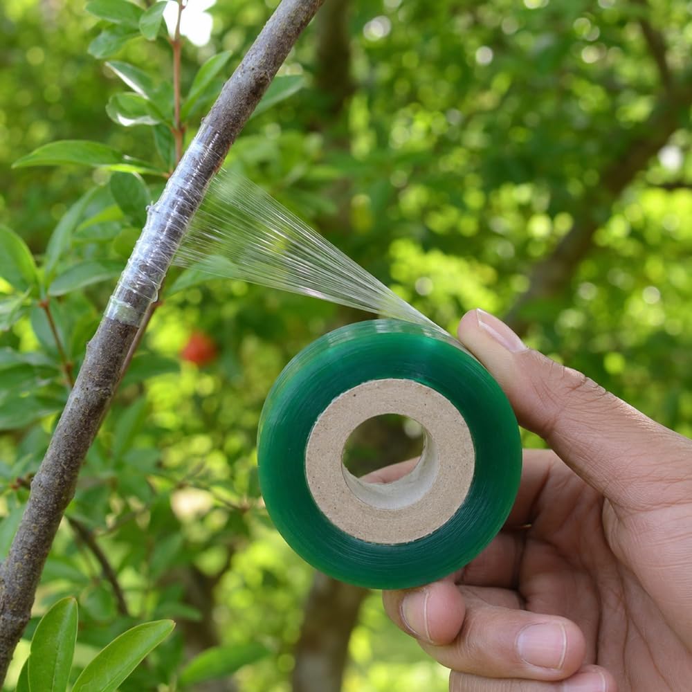 Casa De Amor Grafting Tape for Plants, 1 Inch x 300 Meter Transparent Stretchable Grafting Film for Fruit Trees, Budding, Nursery, Branch Wrapping and Plant Repair, Pack of 3-picture-13
