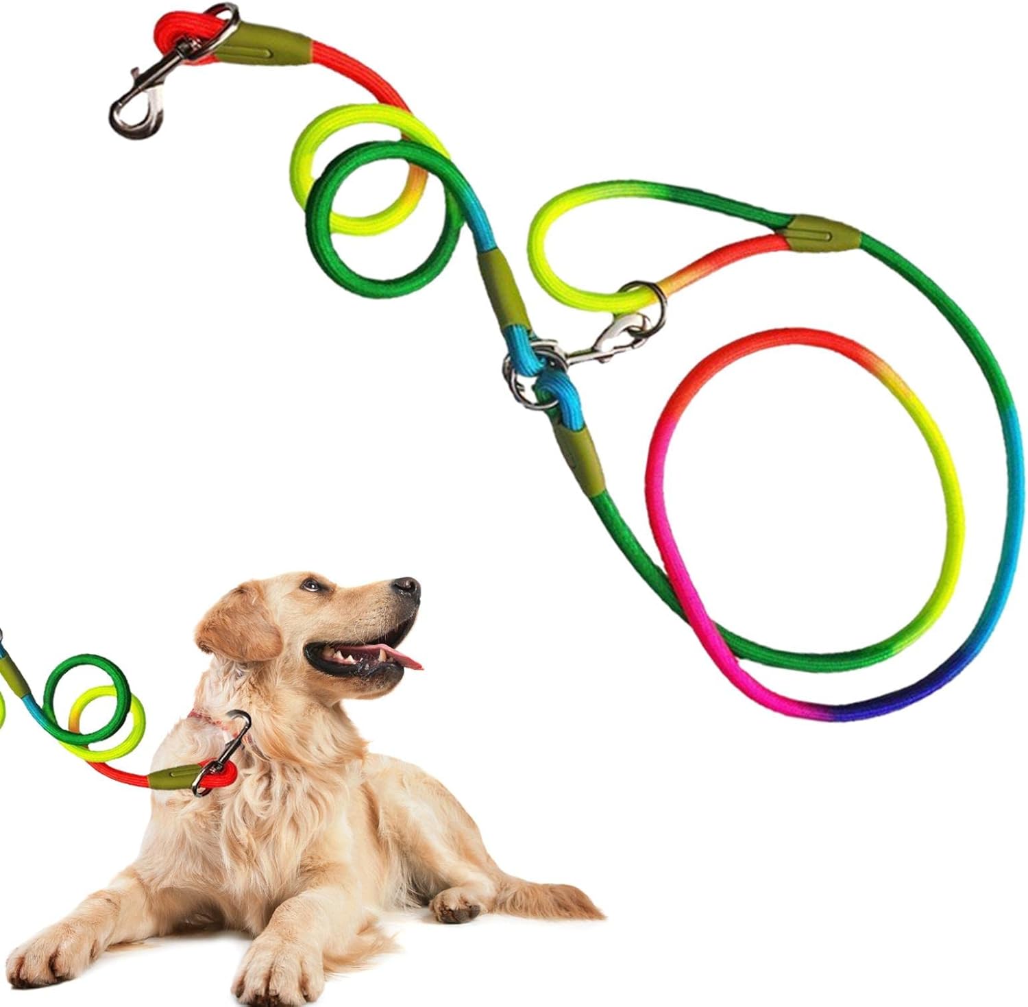 Why Does My Dog Walk Around Me In Circles