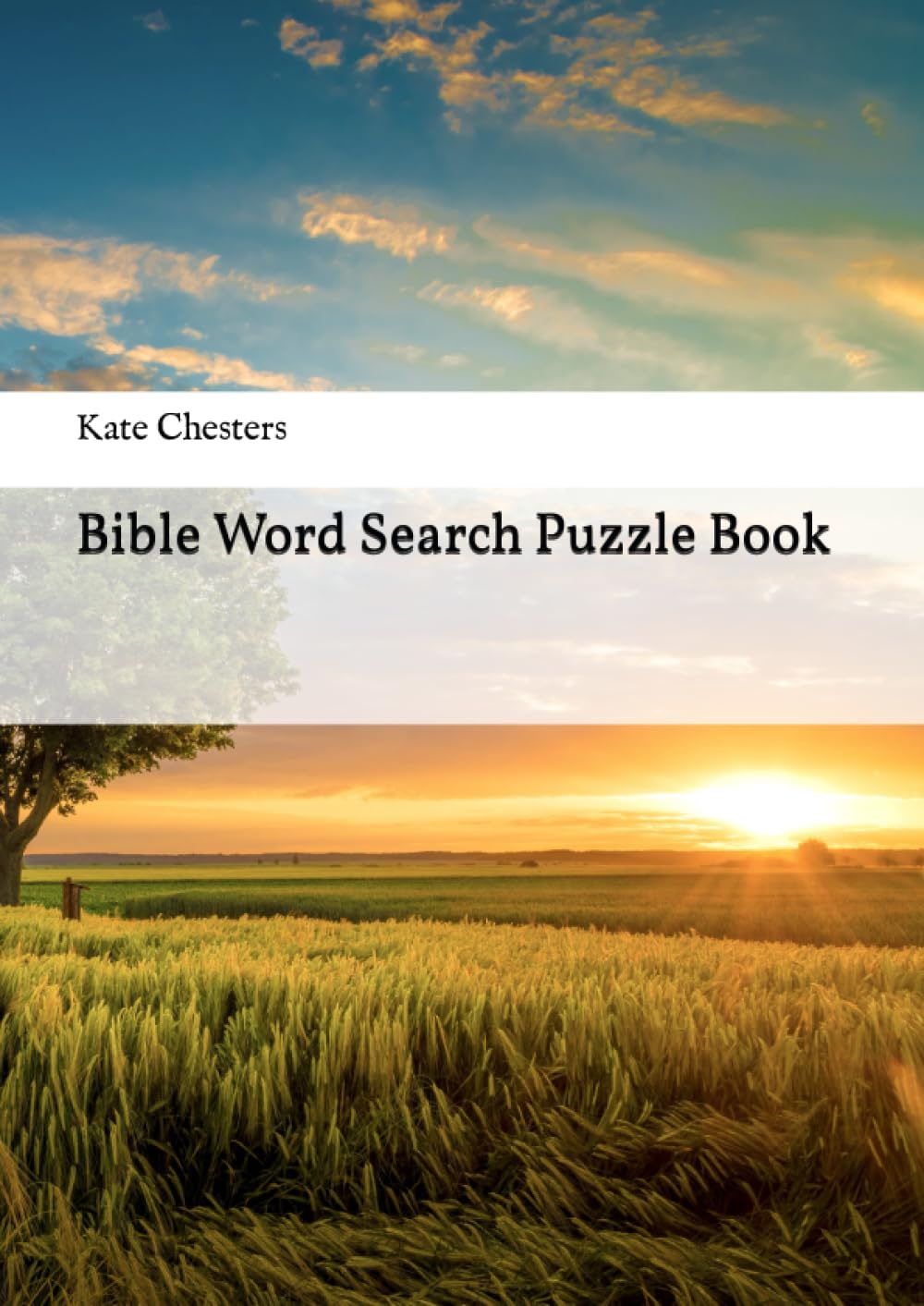 Large Print Bible Word Search for People with Dementia - Christian Word Puzzle Book for Alzheimer’s Patients - Volume 1