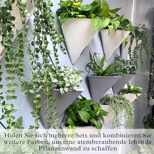LaLaGreen Wall Planters for Indoor Plants - 2 Pack, 12 Inch Large Self Watering Black Geometric Hanging Flower Vase Vessel with Metal Hanger, Modern Stylish Wall Mounted Succulent Pot Holder Decor by LáLáGreen - Image 6