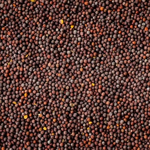 Image of 24 Mantra Organic Pressed Mustard Oil, 1 L