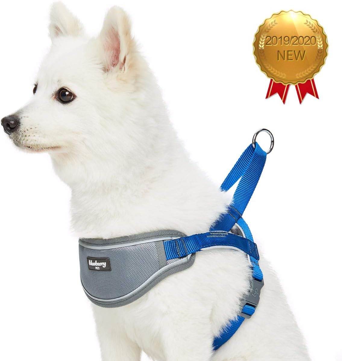 Blueberry Pet 8 Colors Soft & Comfy 3M Reflective Strips Padded Dog Harness Vest, Chest Girth 20.5" - 26", Navy, Medium, Nylon Adjustable Training Harnesses for Dogs : Pet Supplies