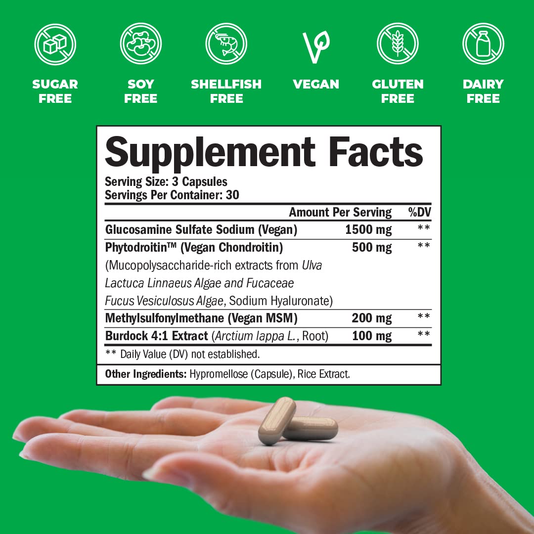 Vegan Glucosamine Chondroitin, Phytodroitin MSM