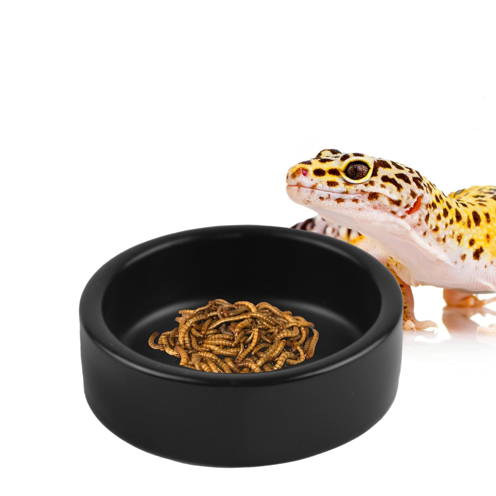 OMEM Black Ceramic Reptile Food and Water Dish Anti Escape Bowl for Bearded Dragons Lizards Geckos and Leopards (Medium)