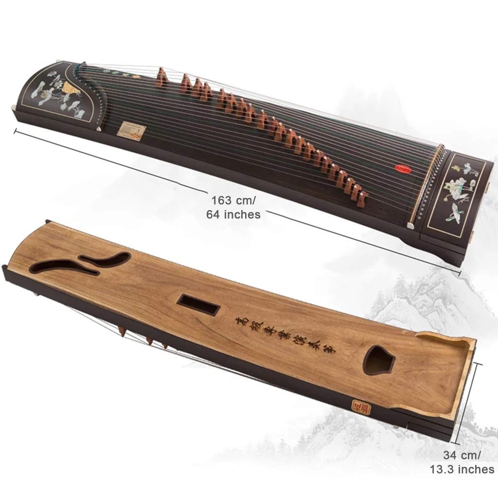 Amazon.co.jp: プロフェッショナルなパフォーマンス、審査のための適切