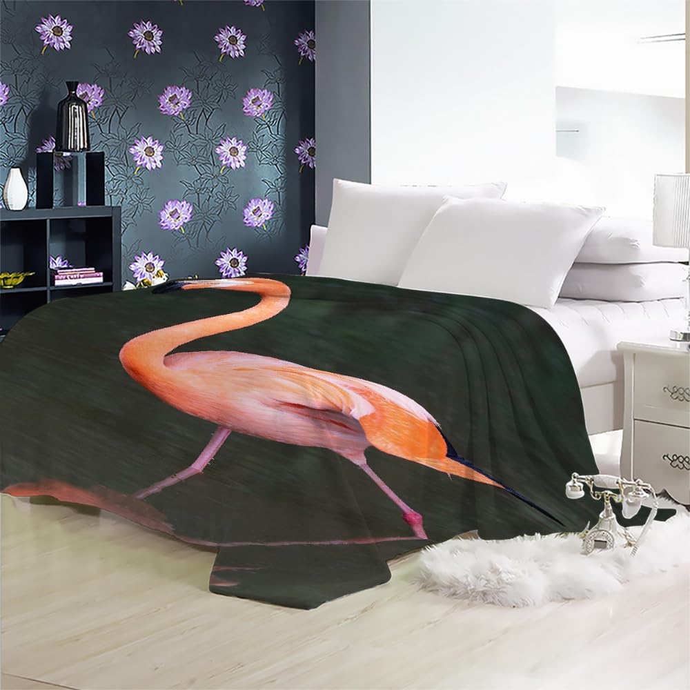 Couverture Polaire Flanelle Flamingo 150X200 Couverture Polaire Epaisse Hiver Chaude,Couverture Lit Jete De Canape 1 Personnes,Grand Chaud Et Doux,G1