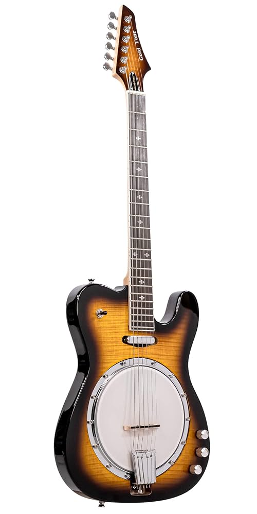 Gold Toneエレキバンジョー ピップ…ではなくGOLD TONEのエレキバンジョーが入荷！ 肩こりに